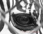 040616_9399.jpg
