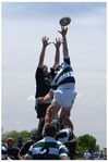 IMG_2149-8x12.jpg