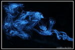 dragonsbreath_7464.JPG